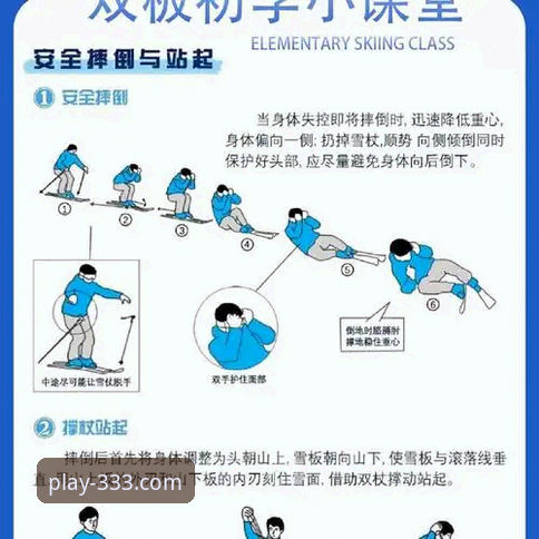 333体育平台正规性深度解析与使用教程